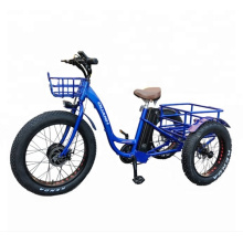 24 Inch 750W China Cargo Adult 3 Wheel Electric Tricycle